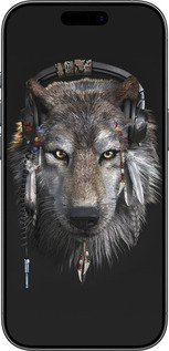 TPU чехол Волк-меломан для Apple iPhone 17 - 875b-4031 изображение 