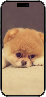 TPU чехол Boo 2 для Apple iPhone 17 - 890b-4031 изображение 