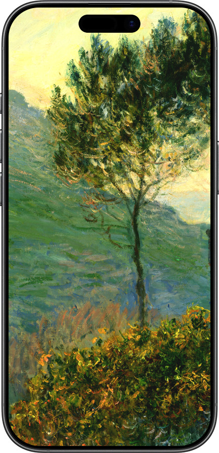 TPU чехол Клод Моне для Apple iPhone 17 - 1193b-4031 изображение 