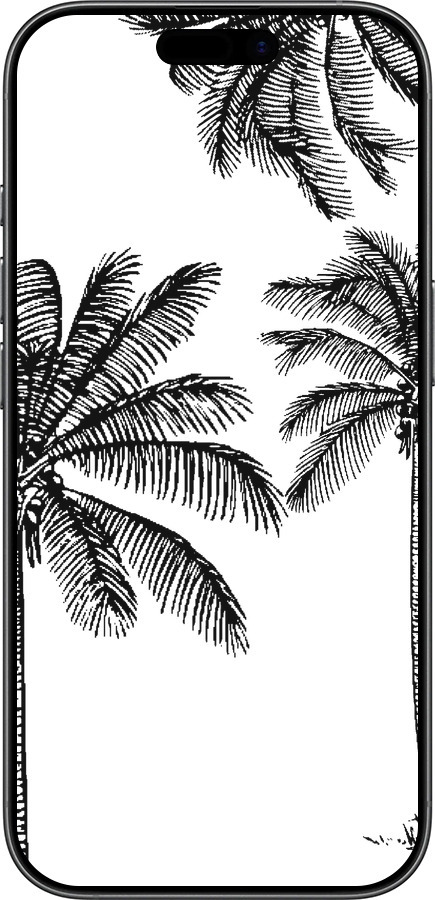 TPU чехол Пальмы1 для Apple iPhone 17 - 4634b-4031 изображение 