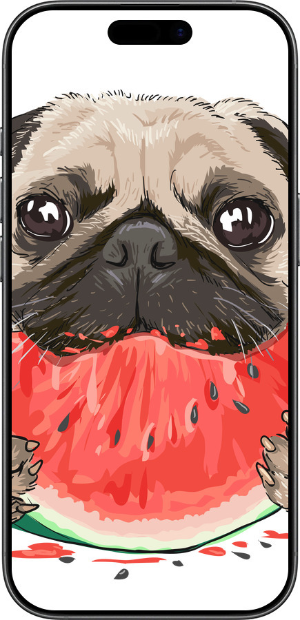 TPU чехол Мопс и арбуз для Apple iPhone 17 - 4665b-4031 изображение 