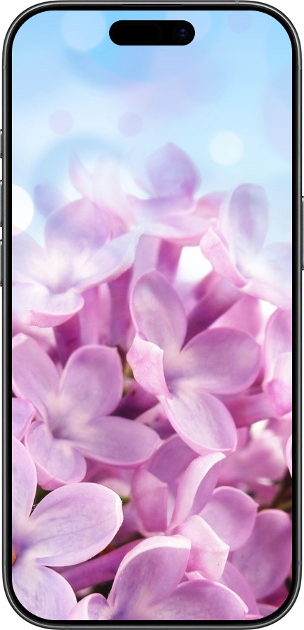 TPU чехол Бузок для Apple iPhone 17 - 527b-4031 изображение 