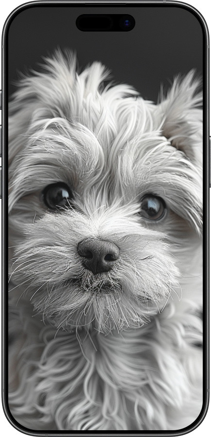 TPU чехол Мальтипу на чорном фоне для Apple iPhone 17 - 6156b-4031 изображение 