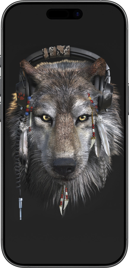 TPU чехол Волк-меломан для Apple iPhone 17 - 875b-4031 изображение 