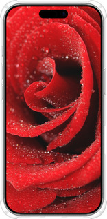 Силикон с усиленными углами чехол Красная роза для Apple iPhone 17 - 529sp-4031 изображение 
