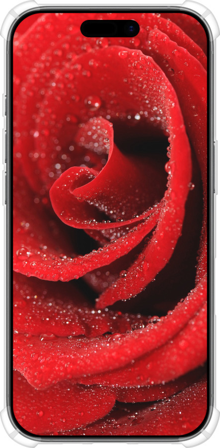 Силикон с усиленными углами чехол Красная роза для Apple iPhone 17 - 529sp-4031 изображение 