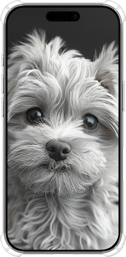 Силикон с усиленными углами чехол Мальтипу на чорном фоне для Apple iPhone 17 - 6156sp-4031 изображение 