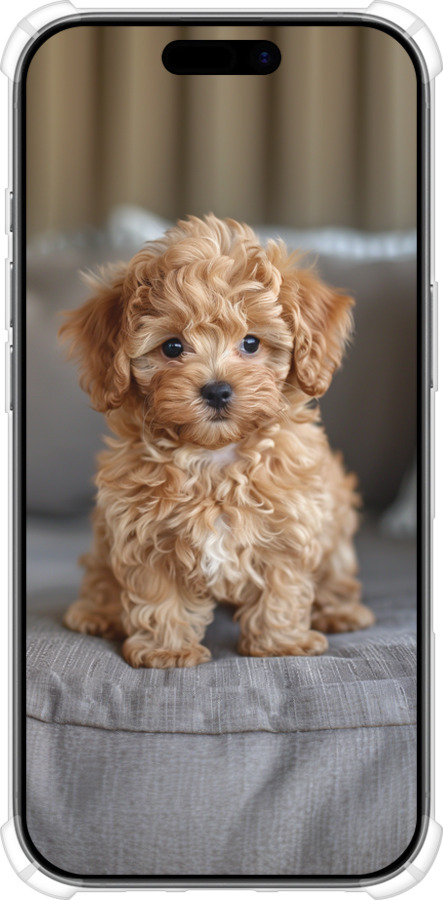 Силикон с усиленными углами чехол Mini-maltipoo для Apple iPhone 17 - 6158sp-4031 изображение 