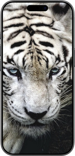 Силиконовый чехол Грустный белый тигр для Apple iPhone 17 - 106u-4031 изображение 