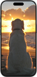 Силіконовий чехол Захід і собака для Apple iPhone 17 - 3966u-4031 изображение 