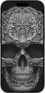 Силиконовый чехол skull-ornament для Apple iPhone 17 - 4101u-4031 изображение 