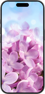 Силиконовый чехол Сирень для Apple iPhone 17 - 527u-4031 изображение 