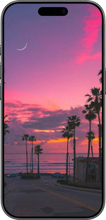 Силіконовий чехол Пальми для Apple iPhone 17 - 5873u-4031 изображение 