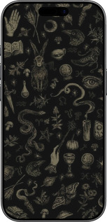 Силиконовый чехол Мистический коллаж с травами и магическими символами для Apple iPhone 17 - 6428u-4031 изображение 