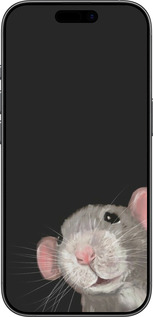 Силиконовый чехол The Peeking Rat для Apple iPhone 17 - 6442u-4031 изображение 
