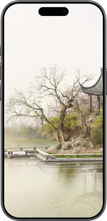 Силиконовый чехол Японский пейзаж для Apple iPhone 17 - 776u-4031 изображение 