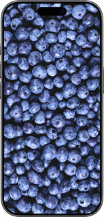 Силиконовый чехол Черника для Apple iPhone 17 - 851u-4031 изображение 