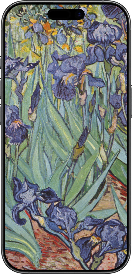 Силиконовый чехол Винсент Ван Гог. Ирисы для Apple iPhone 17 - 161u-4031 изображение 