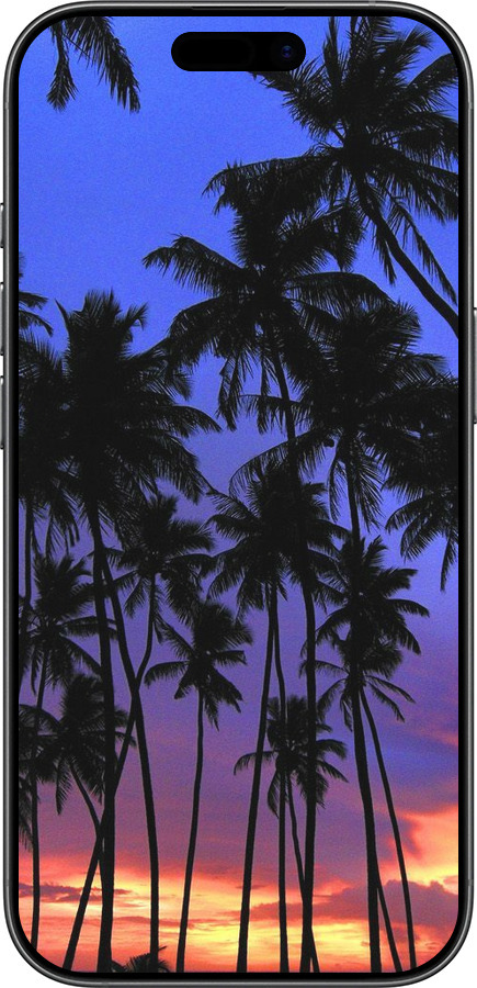 Силиконовый чехол Пальмы для Apple iPhone 17 - 4324u-4031 изображение 