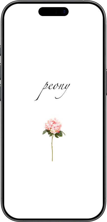 Силиконовый чехол Пион для Apple iPhone 17 - 4366u-4031 изображение 