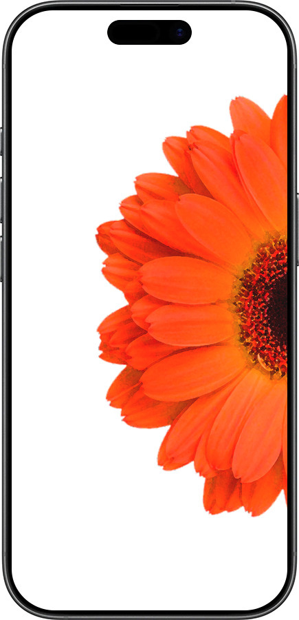 Силіконовий чехол Гербера 1 для Apple iPhone 17 - 4534u-4031 изображение 