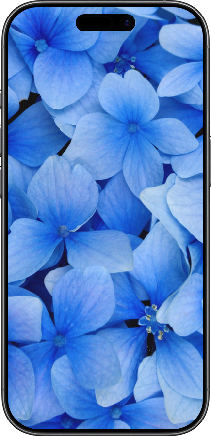 Силиконовый чехол Синие цветы для Apple iPhone 17 - 526u-4031 изображение 