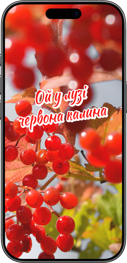 Силіконовий чехол Калина для Apple iPhone 17 - 5454u-4031 изображение 