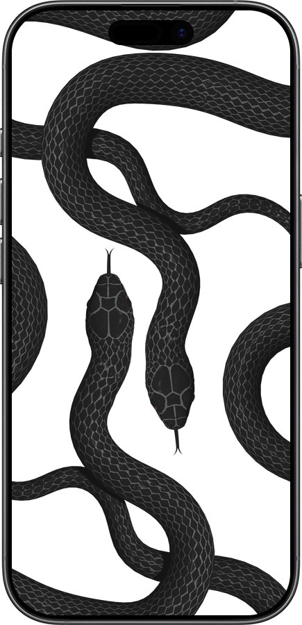 Силіконовий чехол Змії для Apple iPhone 17 - 5473u-4031 изображение 