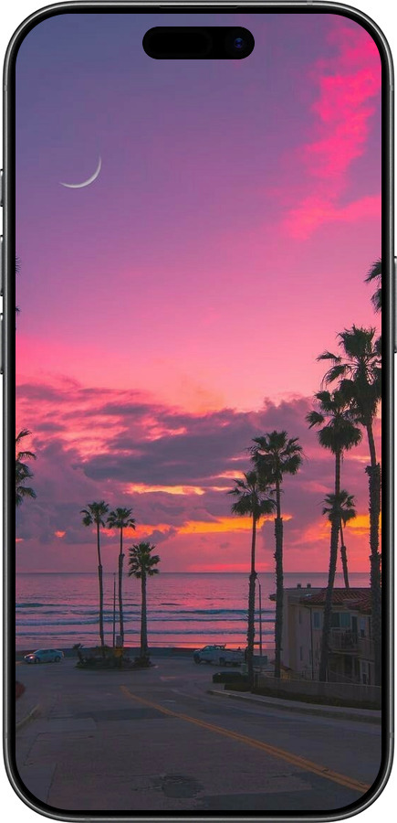 Силіконовий чехол Пальми для Apple iPhone 17 - 5873u-4031 изображение 