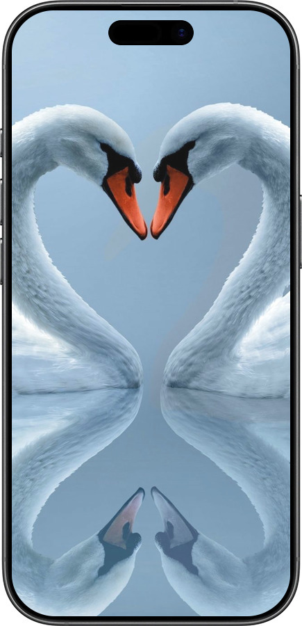 Силиконовый чехол Лебеди для Apple iPhone 17 - 6007u-4031 изображение 
