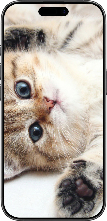 Силіконовий чехол Котик для Apple iPhone 17 - 6024u-4031 изображение 