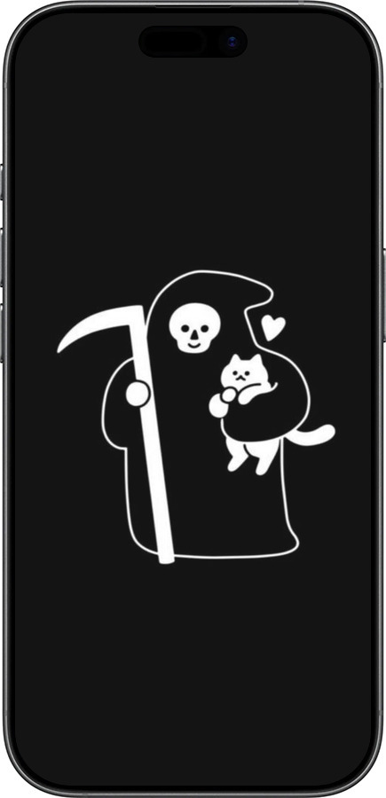 Силиконовый чехол Минималистичный арт: смерть и кошка для Apple iPhone 17 - 6529u-4031 изображение 