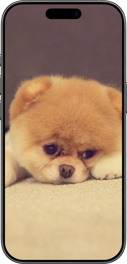 Силиконовый чехол Boo 2 для Apple iPhone 17 - 890u-4031 изображение 