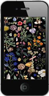 2D пластиковий чехол З квітами для Apple iPhone 4 - 6422t-15 изображение 