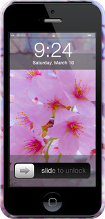 3D пластиковий матовий чехол Сакура для Apple iPhone 5 - 6029m-18 изображение 
