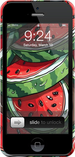 3D пластиковий матовий чехол Кавун для Apple iPhone 5s - 6315m-21 изображение 