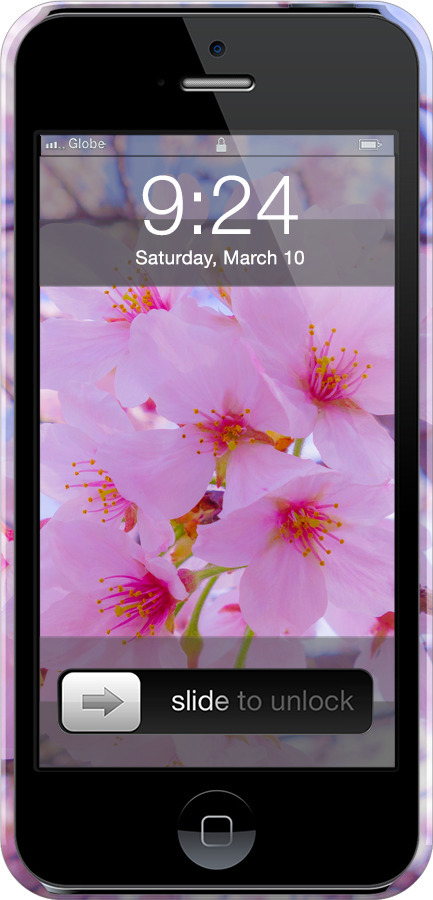 3D пластиковий матовий чехол Сакура для Apple iPhone 5 - 6029m-18 изображение 