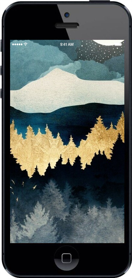 2D пластиковый чехол Ночной пейзаж с лесом и горами для Apple iPhone 5s - 6493t-21 изображение 