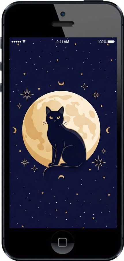 Силіконовий чехол Cute Cat Celestial/Witchy для Apple iPhone 5 - 6787u-18 изображение 