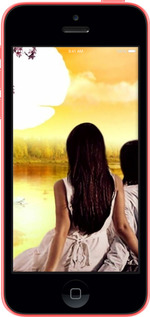 2D пластиковый чехол Sunset для Apple iPhone 5c - 6607t-23 изображение 