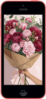 2D пластиковый чехол № 6705 для Apple iPhone 5c - 6705t-23 изображение 
