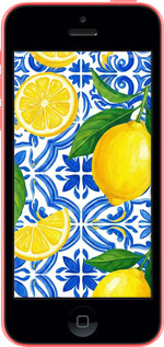 2D пластиковый чехол Grocery Girl Italian Summer для Apple iPhone 5c - 6766t-23 изображение 