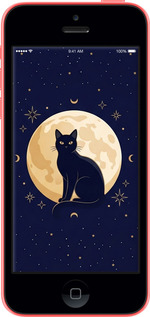 2D пластиковый чехол Cute Cat Celestial/Witchy для Apple iPhone 5c - 6787t-23 изображение 