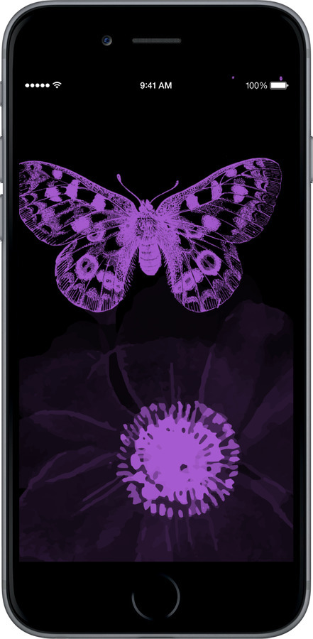 TPU чехол Ніжність для Apple iPhone 6 Plus - 5906b-48 изображение 