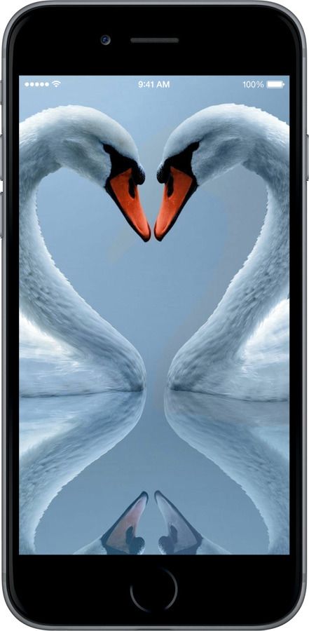 TPU чехол Лебеди для Apple iPhone 6s Plus - 6007b-91 изображение 