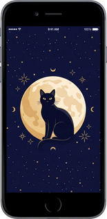 2D пластиковый чехол Cute Cat Celestial/Witchy для Apple iPhone 6 Plus - 6787t-48 изображение 
