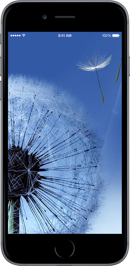 Силіконовий чехол Кульбабка для Apple iPhone 6 Plus - 6005u-48 изображение 