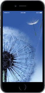 TPU чехол Кульбабка для Apple iPhone 6 - 6005b-45 изображение 