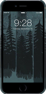 3D пластиковый матовый чехол Лиса и ночной лес для Apple iPhone 6 - 6481m-45 изображение 