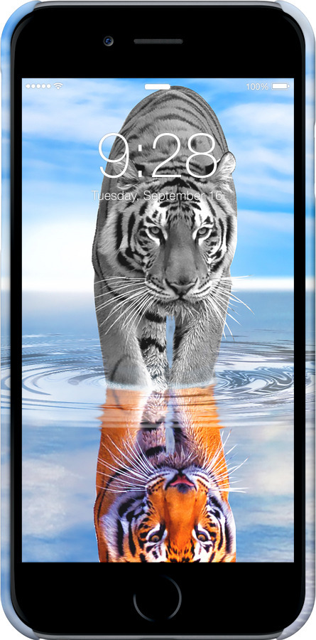 3D пластиковый глянцевый чехол Тигр для Apple iPhone 6 - 6016c-45 изображение 